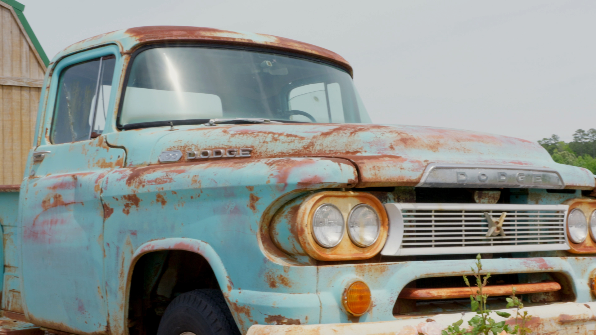 Vintage turquoise Dodge farm truck with rustic patina at Chubby's Farm